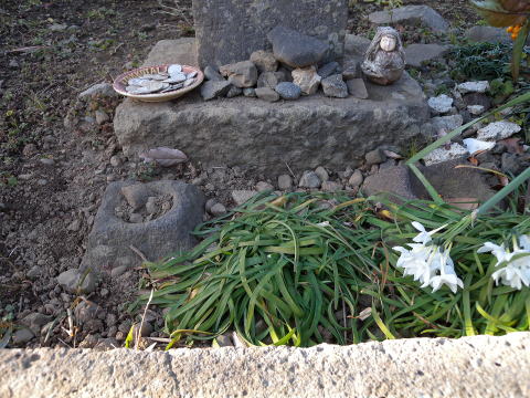 茅ヶ崎市西久保の地蔵菩薩の周囲の写真